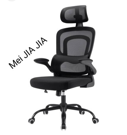 Chaise de Bureau avec soutien Lombaire