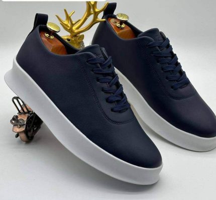 Chaussures Sneakers Timberland